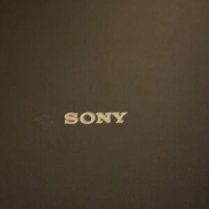 Sony Black Headphones